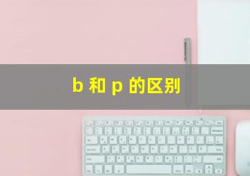 b 和 p 的区别